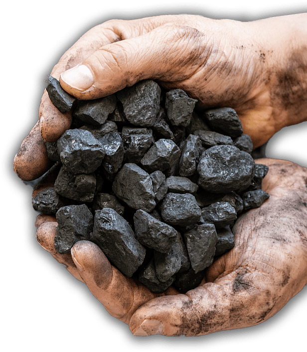 Contribución SYNERGYA